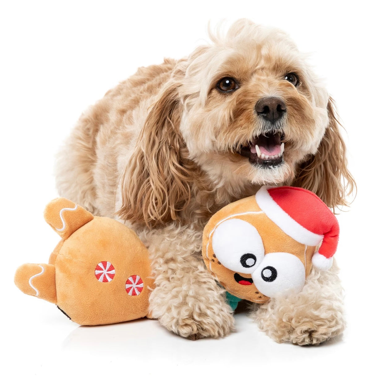 FuzzYard Veronecka The Gingerbread Squeaky Dog Plush Toy