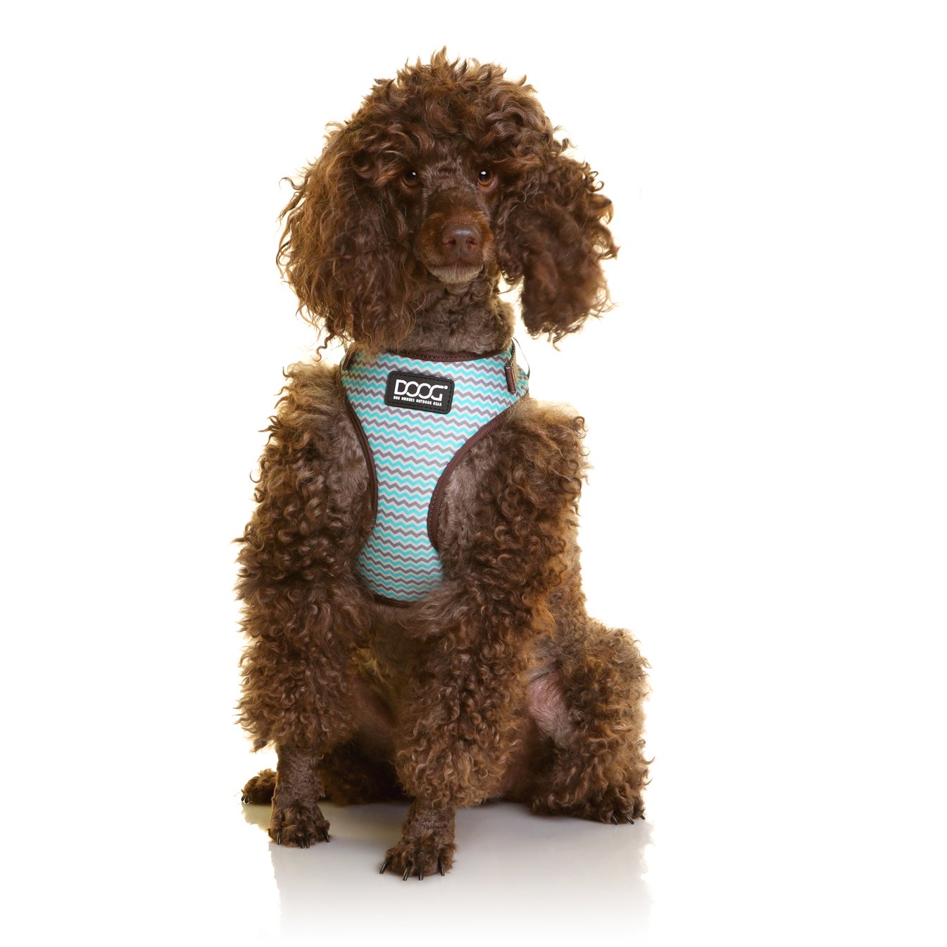 DOOG NEOFLEX DOG HARNESS BENJI