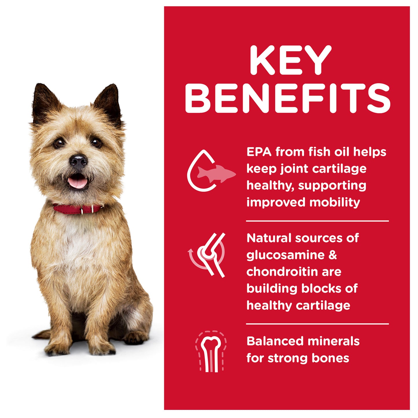 HILLS DOG ADULT HEALTHY MOBILTY SMALL BITES 7.03KG