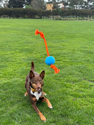 DOOG FETCHABLES FETCH A TUG - PINK