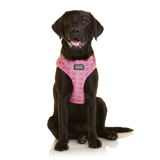 DOOG NEOFLEX DOG HARNESS TOTO