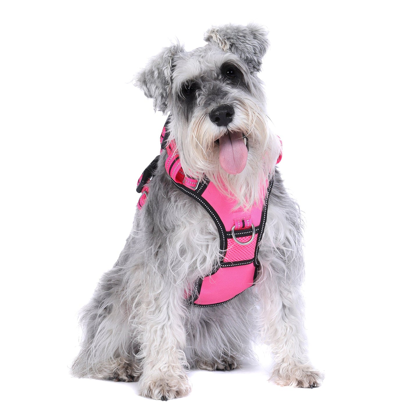 DOOG NEOTECH HARNESS LADY