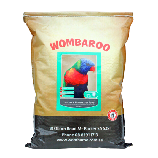 WOMBAROO LORIKEET & HONEYEATER
