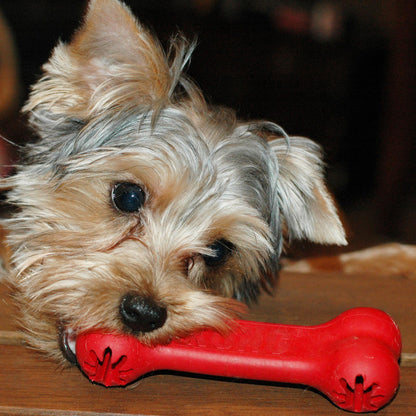 KONG DOG GOODIE BONE LARGE