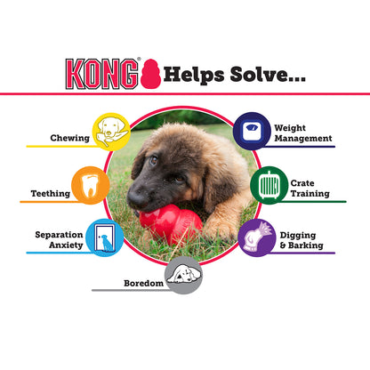 KONG DOG AQUA LARGE